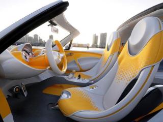 Smart For Us ülései